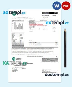 sample USA Craighead Electric utility bill template in Word and PDF format download
