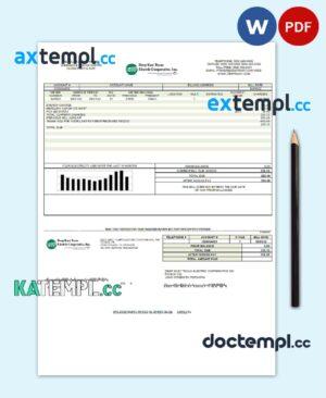 sample USA Deep East Texas Electric utility bill template in Word and PDF format download
