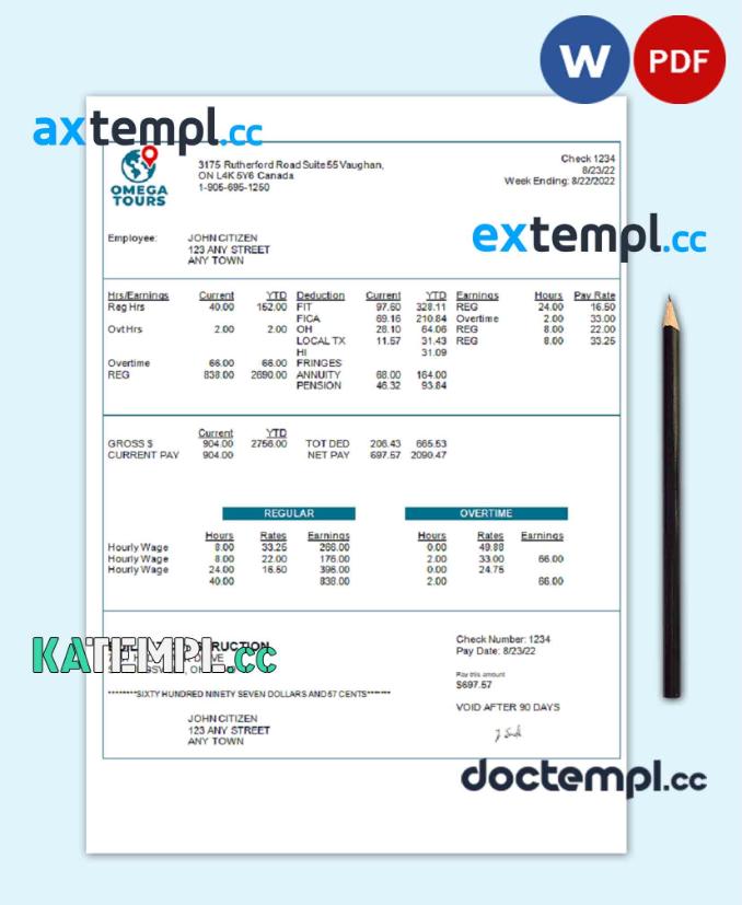 sample USA Omega Tours tourism company pay stub Word and PDF template download