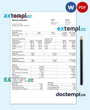 sample USA Oracle software company pay stub Word and PDF template download