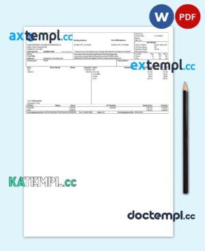 sample USA Entertainment Partners Enterprises financial company pay stub Word and PDF template download