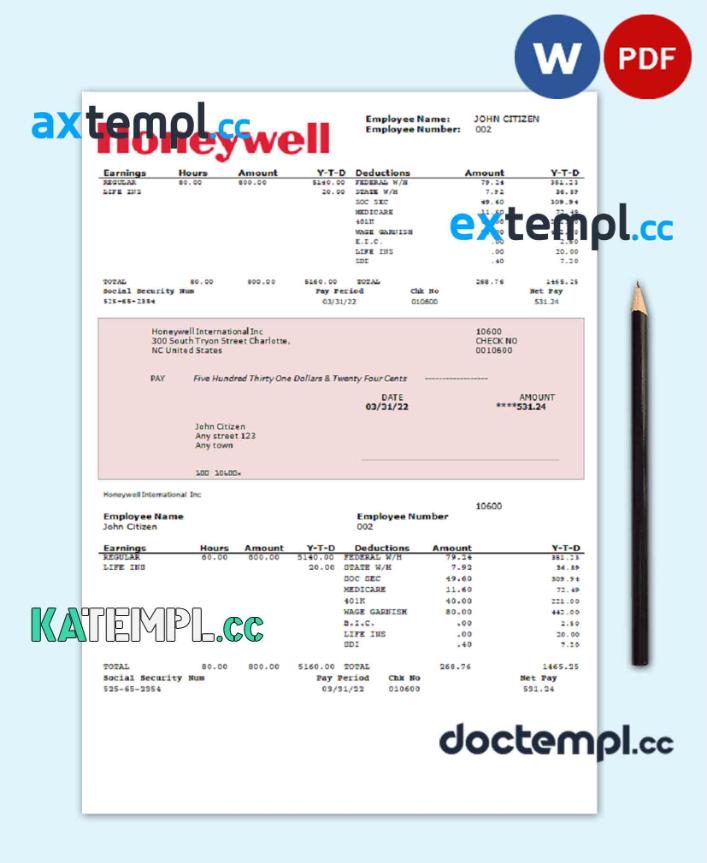 sample USA Honeywell conglomerate company pay stub Word and PDF template download