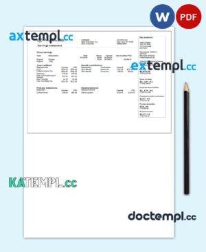 sample USA IT technologies company earning statement template in Word and PDF format download