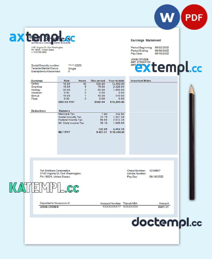 sample USA building company earning statement template in Word and PDF format download
