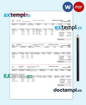 sample USA chemical industry earning statement template in Word and PDF format download