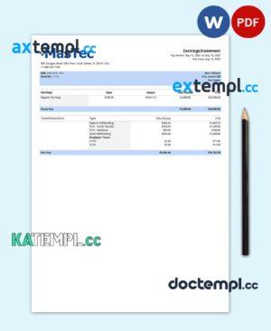 sample USA engineering company employee earning statement template in Word and PDF format download