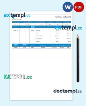 sample USA financial earning statement template in Word and PDF format download