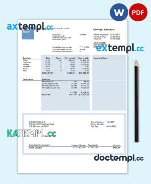 sample USA financial company earning statement template in Word and PDF format, version 2 download