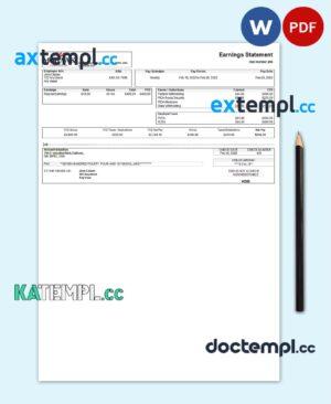 sample USA manufacturing company earning statement template in Word and PDF format download