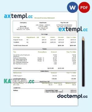 sample USA personal earning statement template in Word and PDF format download