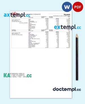 sample USA pharmaceutical company earnings statement template in Word and PDF format download