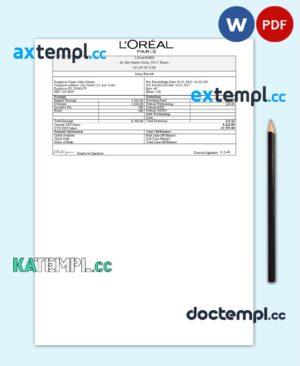 sample France Loreal Paris cosmetic distributing company pay stub Word and PDF template download