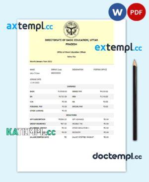 sample India Directorate of Basic Education Uttar Pradesh educational company pay stub Word and PDF template download