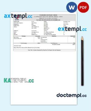 sample India SVM HIGHER SECONDARY SCHOOL educational company pay stub Word and PDF template download