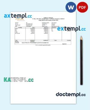 sample India Sadhana infotech pharmaceutical company pay stub Word and PDF template download
