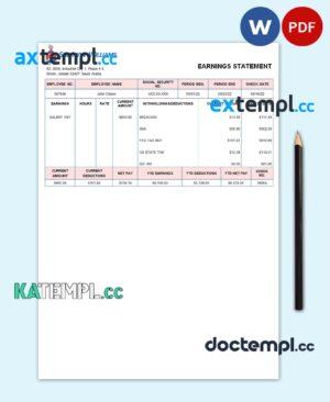 sample UAE Sherwin-Williams Paints paint manufacturing company pay stub Word and PDF template download