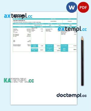 sample USA AECOM construction company pay stub Word and PDF template download