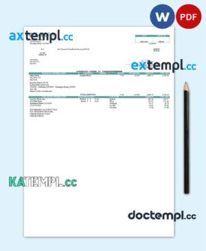 sample USA Accupay Demo Inc. payroll company pay stub Word and PDF template download