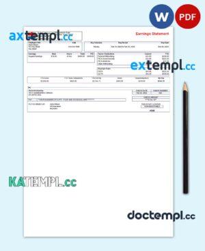 sample USA American Excelsior distribution company pay stub Word and PDF template download