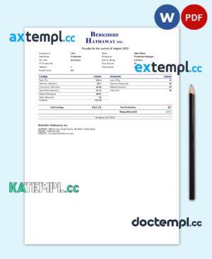 sample USA Berkshire Hathaway conglomerate company pay stub Word and PDF template download