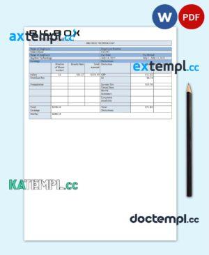 sample USA Big Box Technologies technology company pay stub Word and PDF template download