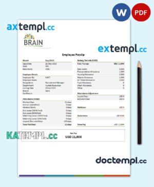sample USA Brain Technology technology company pay stub Word and PDF template download