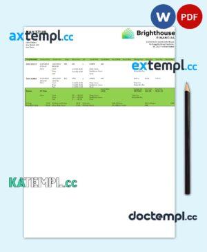 sample USA Brighthouse Financial financial company pay stub Word and PDF template download