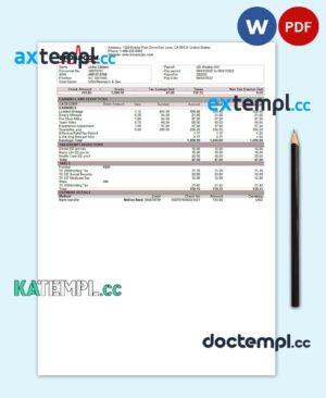 sample USA Broadcom semiconductor company pay stub Word and PDF template download