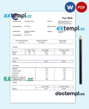 sample USA Capital Economics economic company pay stub Word and PDF template download