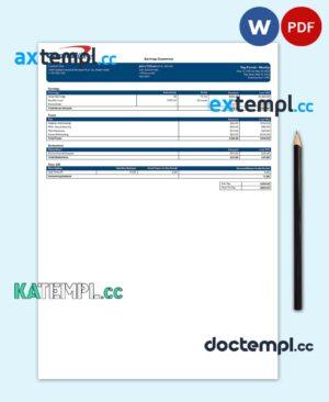 sample USA Capital One banking company pay stub Word and PDF template download