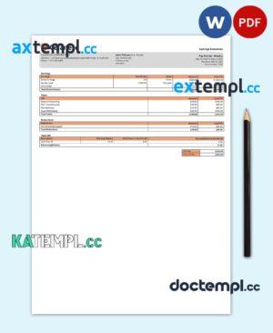 sample USA Celanese technology company pay stub Word and PDF template download