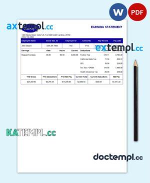 sample USA Diversey household goods company pay stub Word and PDF template download