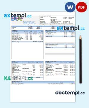 sample USA Dixon University Center educational company pay stub Word and PDF template download