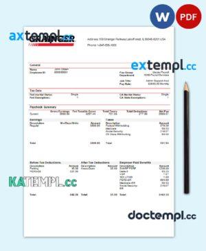 sample USA Grainger industry company pay stub Word and PDF template download