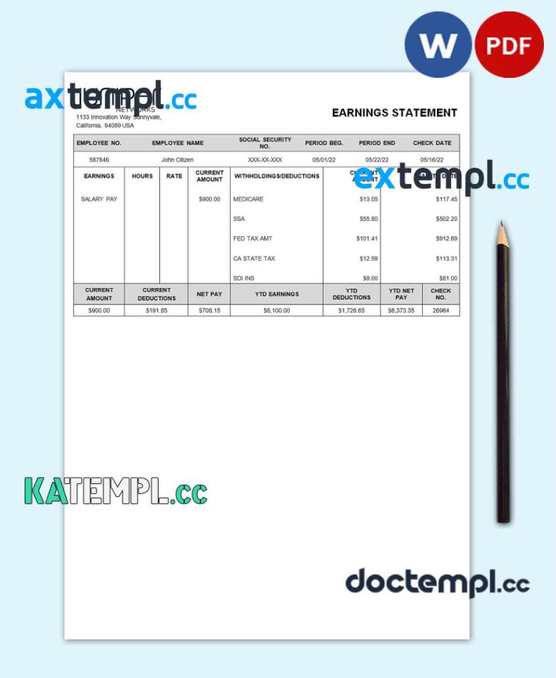 sample USA Juniper networking company pay stub Word and PDF template download