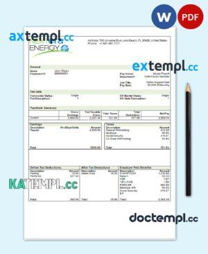 sample USA NextEra Energy electric company pay stub Word and PDF template download
