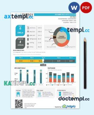 sample USA Texas Blue Energy utility bill, Word and PDF template download