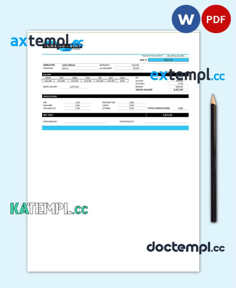 sample USA Turning Point Brands tobacco company pay stub Word and PDF template download