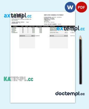 sample USA retail company earning statement template in Word and PDF format download