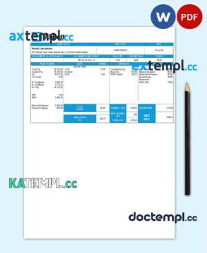 sample United Kingdom Abbott Laboratories medical devices distributing company pay stub Word and PDF template download