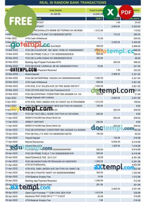 sample real 30 random bank transactions Excel and PDF template download