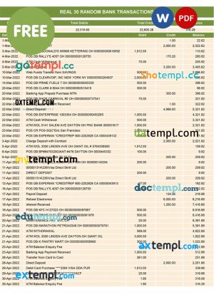 real 30 random bank transactions Word and PDF template