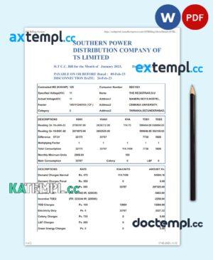 sample INDIA SOUTHERN POWER utility bill Word and PDF template download