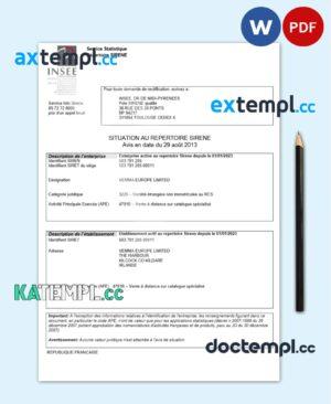 sample France INSEE registration certificate Word and PDF template download