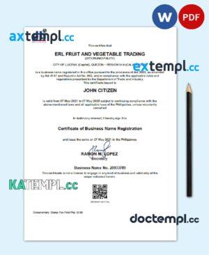 sample Philippines Department of Trade and Industry (DTI) private entrepreneur certificate template in Word and PDF format download