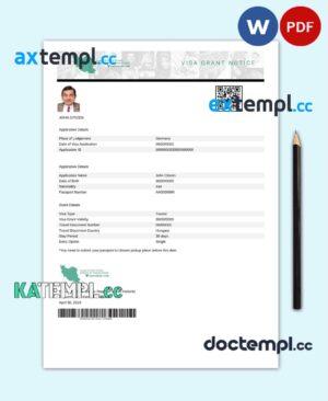 sample Iran e-visa Word and PDF template, fully editable download