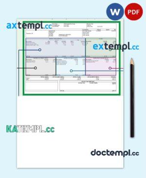sample BARGAINING UNIT employee pay stub Word and PDF template download