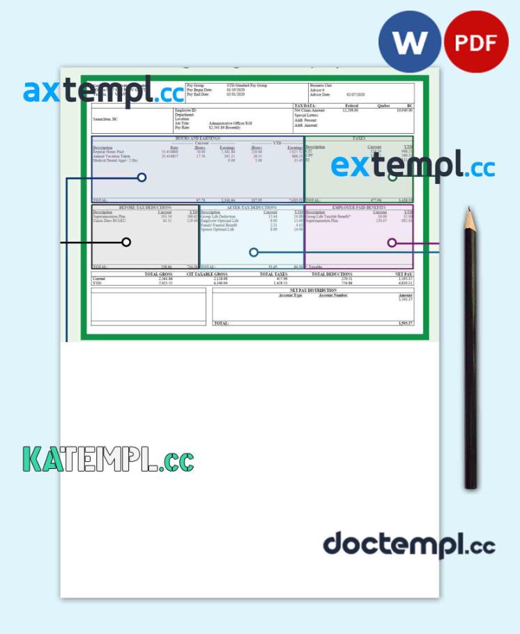 sample BARGAINING UNIT employee pay stub Word and PDF template download