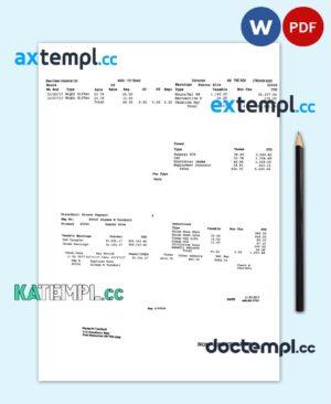 sample BEE-CLEAN Industrial Ltd. pay stub Word and PDF template download