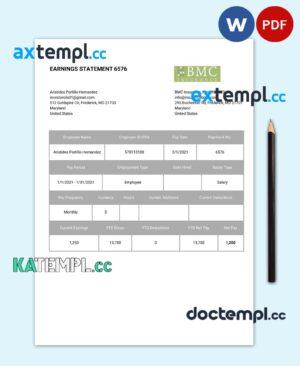 sample BMC INSURANCE earnings statement Word and PDF template download